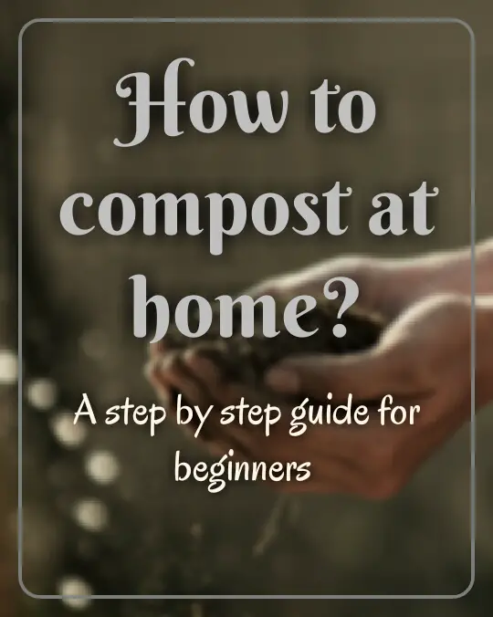 How to compost at home?