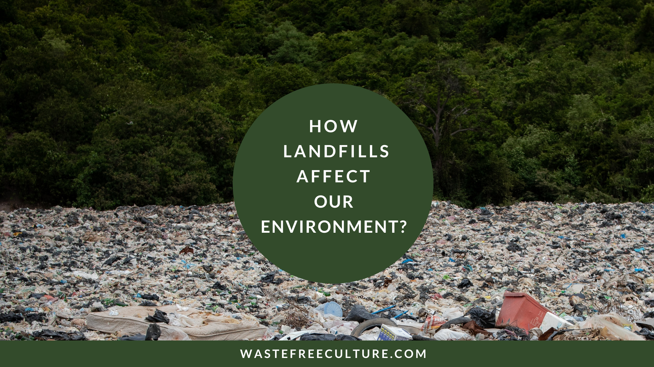 how-landfills-especially-plastics-affect-our-environment-waste-free