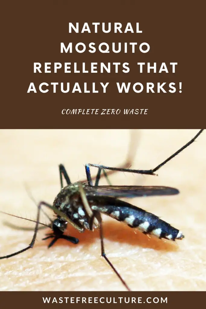 Natural mosquito repellents that actually work! – Waste free culture