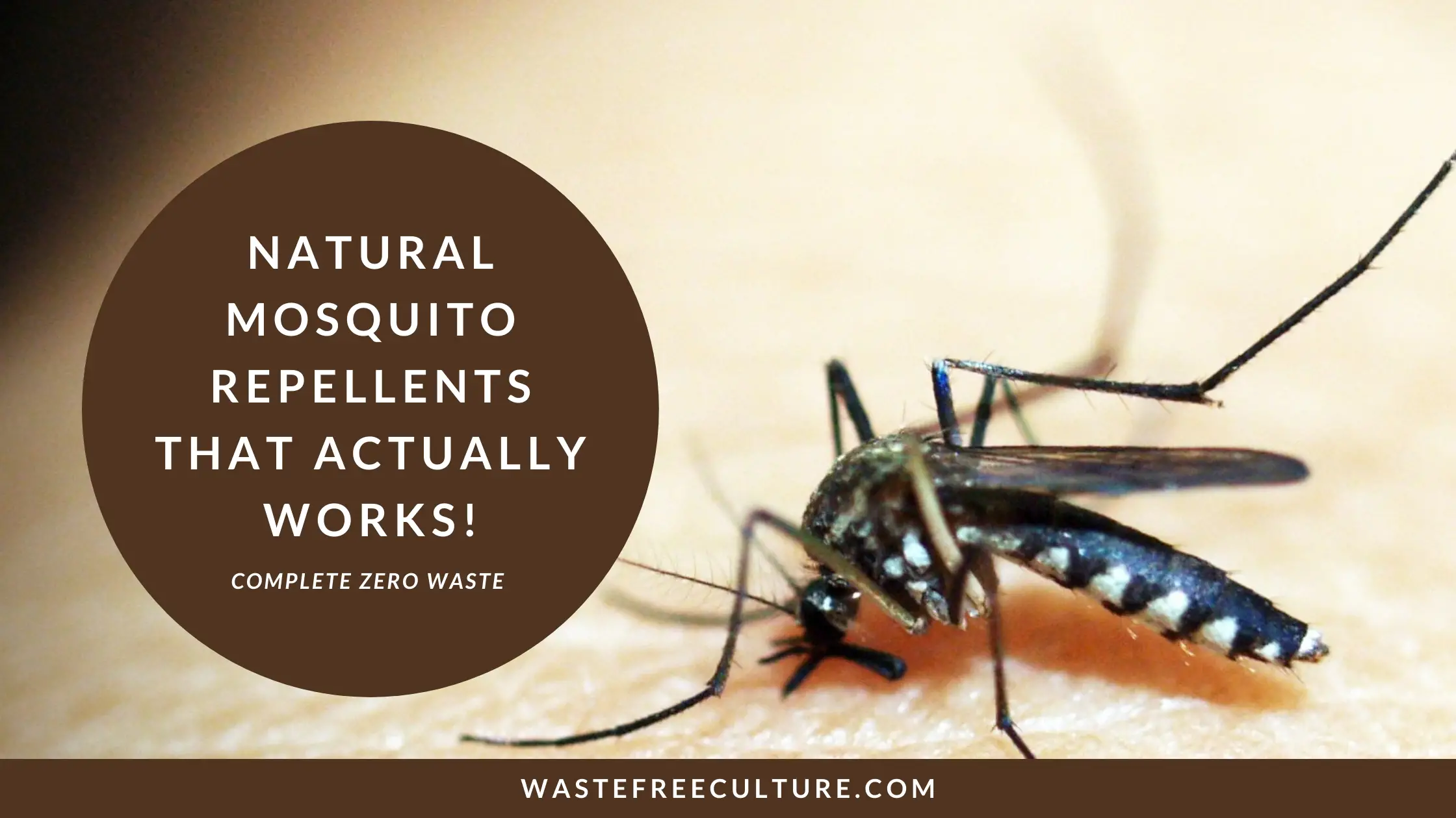 Natural mosquito repellents that actually works!