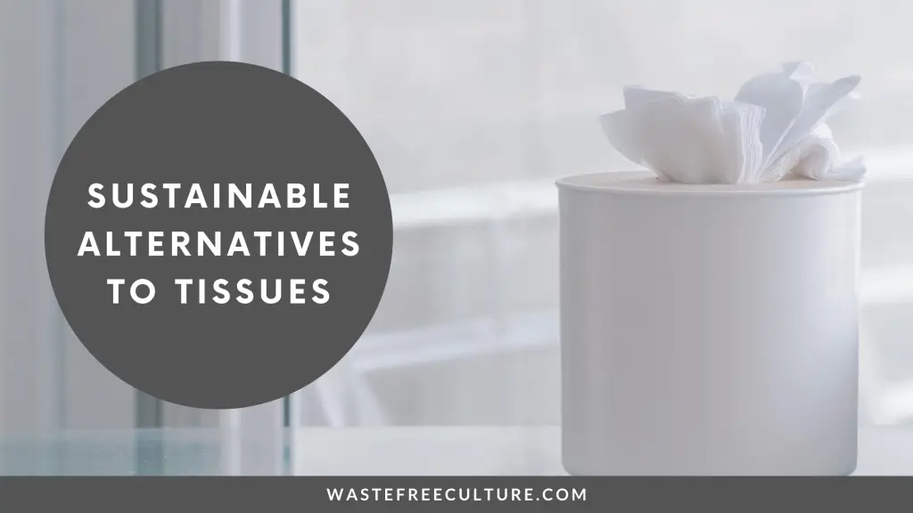 Sustainable Alternatives to Tissues