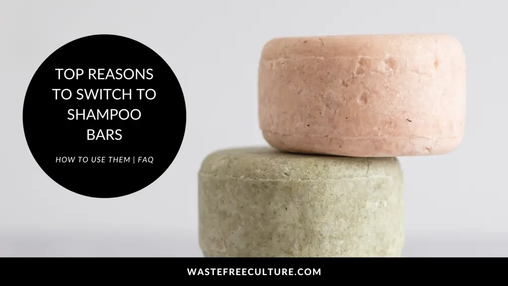 Top reasons to switch to shampoo bars | How to use them | FAQ